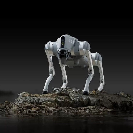 zorg robot hond